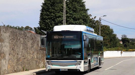 81 автобус MAN підсилюють парк STCP у Порту
