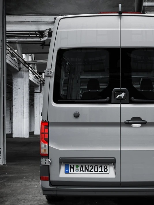 Великі задні двері з вікнами